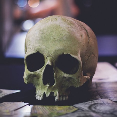 Тату фест Минск 2014