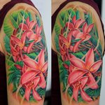 Розовые цветы с листьями