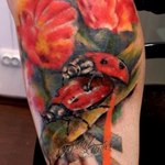 Две божьи коровки на листике