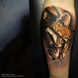 Кошка