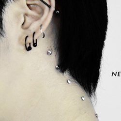 Neck microdermals