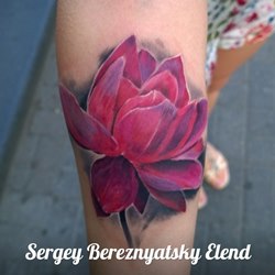 Без названия