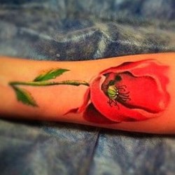 Без названия