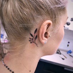 Без названия