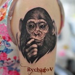 Без названия