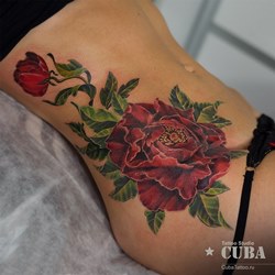 Без названия