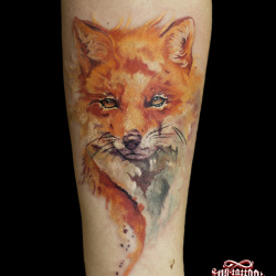 Fox