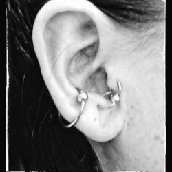 Tragus & Antitragus & Inner Conch