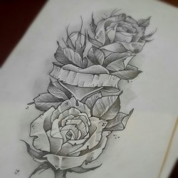 розы.эскиз