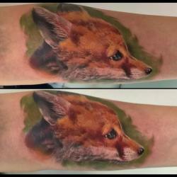 Fox